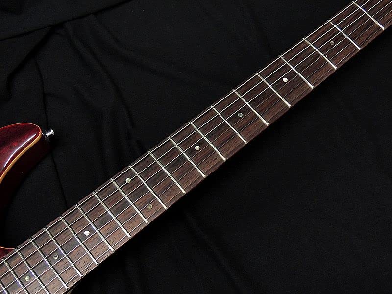 Amazon | SCHECTER JOL-CT-6 BKCH フレイムメイプルトップ シェクター